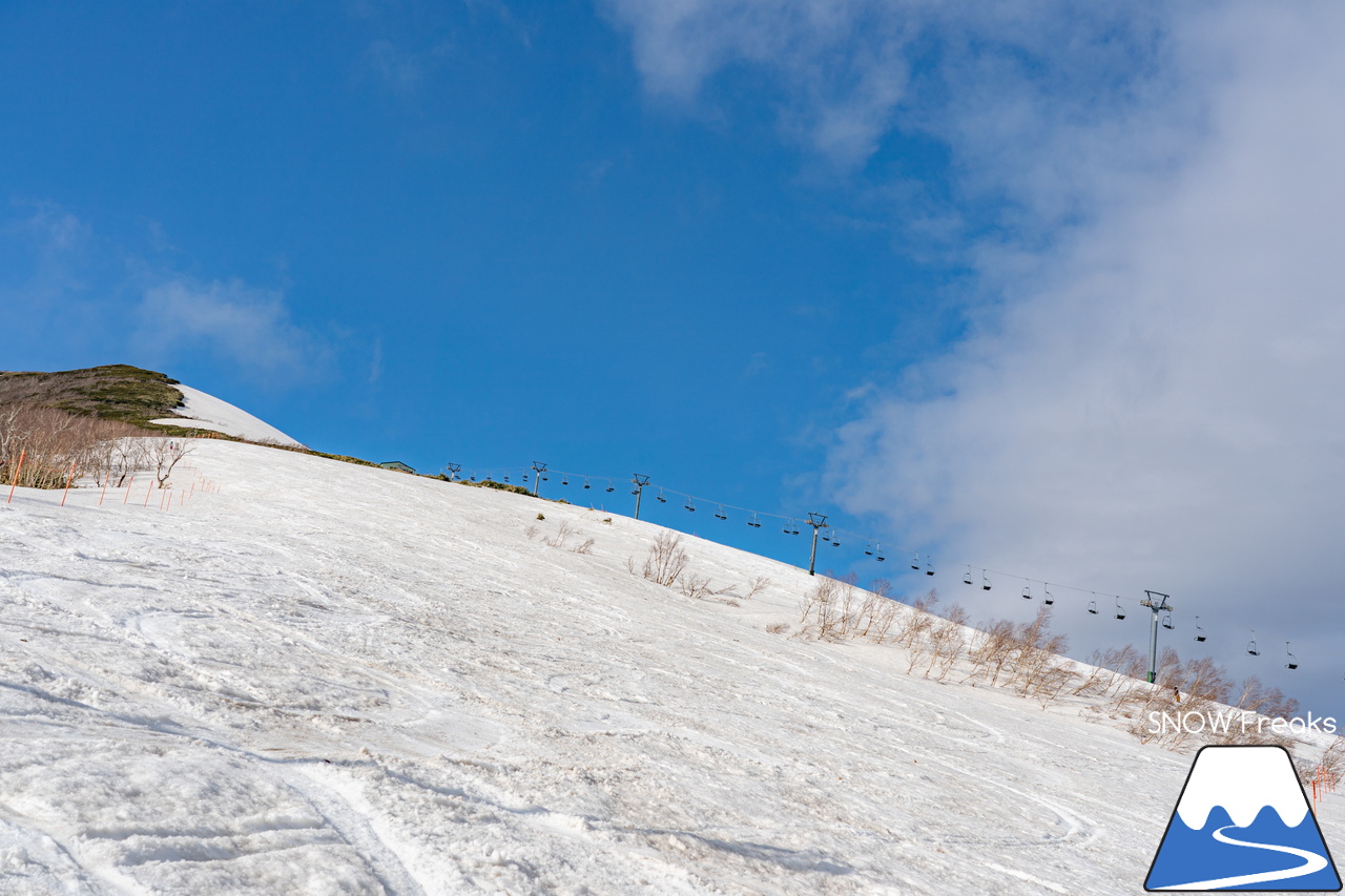 ニセコアンヌプリ国際スキー場｜さすがニセコ！山頂から山麓まで全長約4,000ｍのロング滑走可能です(^^)/